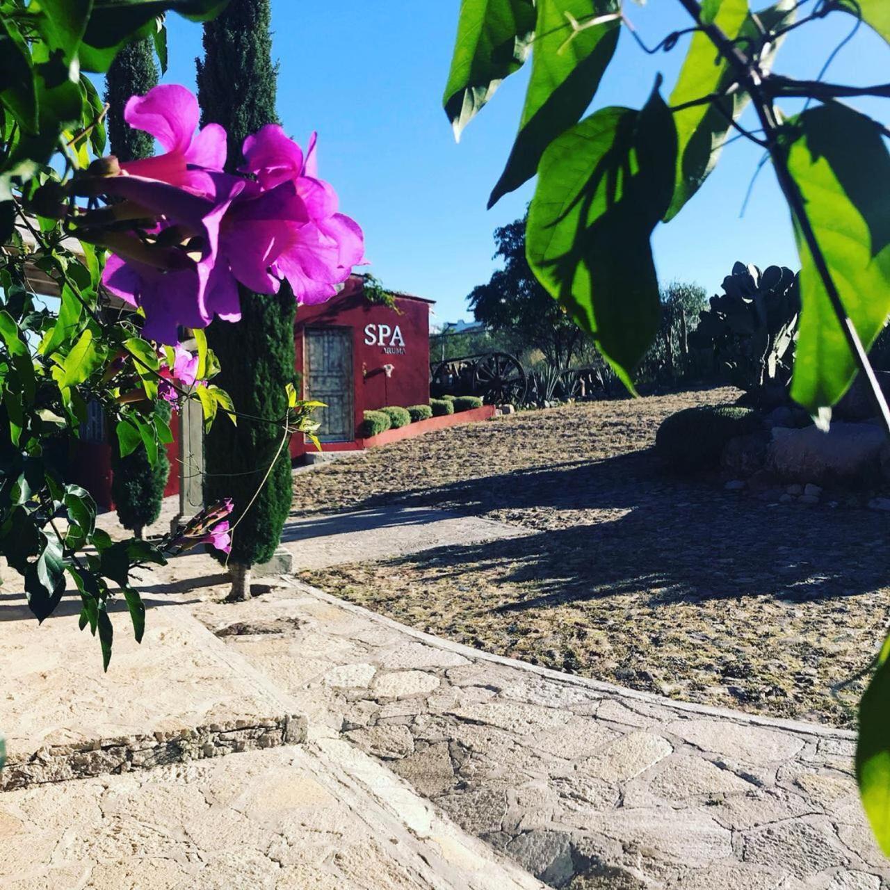 View Hotel Boutique Don Juan Xido De Abajo Εξωτερικό φωτογραφία